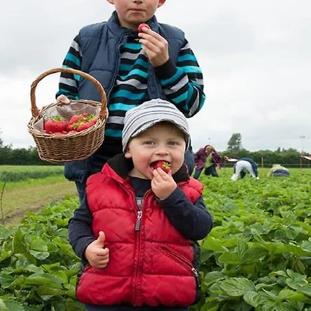 Hof Schmoerholm Dein Familienurlaub Auf Dem Bauernhof דירה Leck