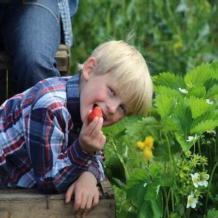 Hof Schmoerholm Dein Familienurlaub Auf Dem Bauernhof דירה Leck