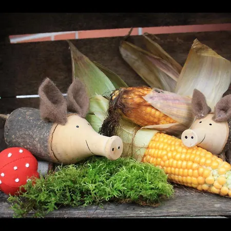 דירה Hof Schmoerholm Dein Familienurlaub Auf Dem Bauernhof