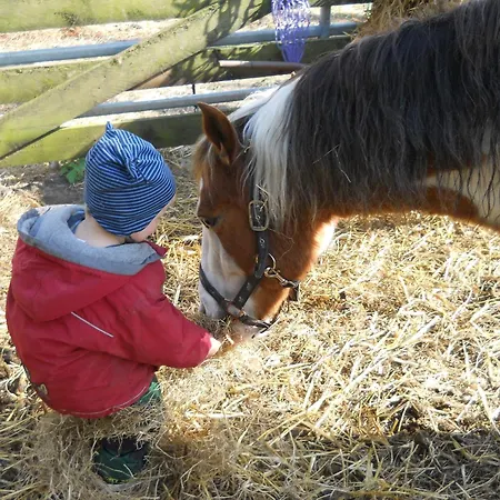דירה Hof Schmoerholm Dein Familienurlaub Auf Dem Bauernhof Leck
