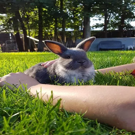 דירה Hof Schmoerholm Dein Familienurlaub Auf Dem Bauernhof