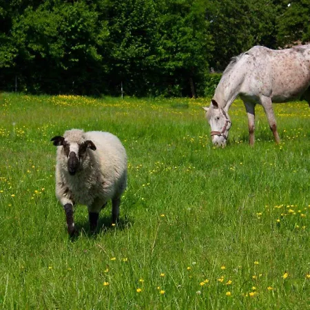 Hof Schmoerholm Dein Familienurlaub Auf Dem Bauernhof Leck