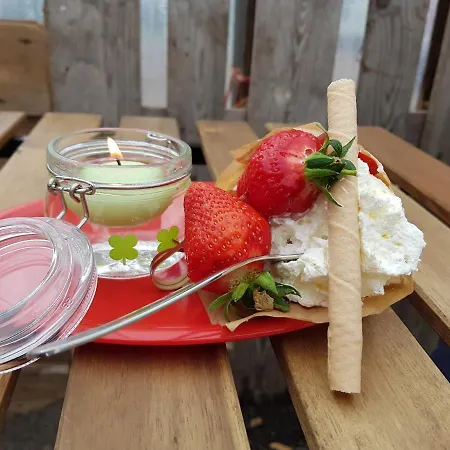 דירה Hof Schmoerholm Dein Familienurlaub Auf Dem Bauernhof Leck